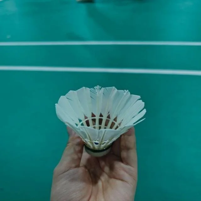上海海港争冠走势全面分析